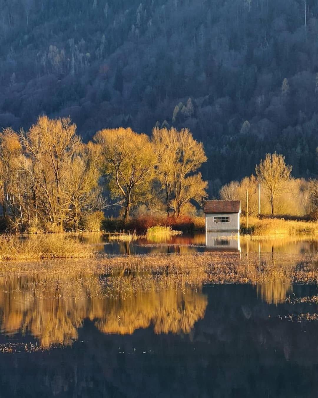 Ferienwohnung Resi Mit Traumhaftem Seepanorama Steindorf am Ossiacher See Exterior foto